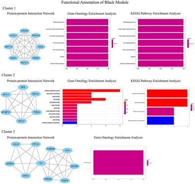 Susceptibility Modules and Genes in Hypertrophic Cardiomyopathy by WGCNA and ceRNA Network Analysis